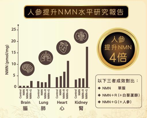 NMN2.png